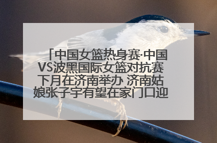 中国女篮热身赛·中国VS波黑国际女篮对抗赛下月在济南举办 济南姑娘张子宇有望在家门口迎来国家队首秀