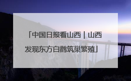 中国日报看山西｜山西发现东方白鹳筑巢繁殖