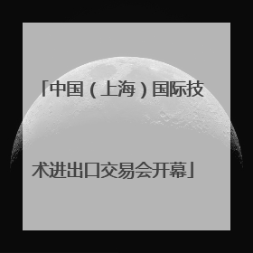 中国（上海）国际技术进出口交易会开幕