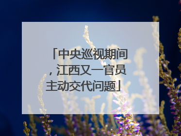 中央巡视期间，江西又一官员主动交代问题