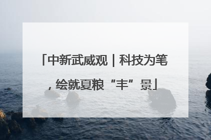 中新武威观｜科技为笔，绘就夏粮“丰”景