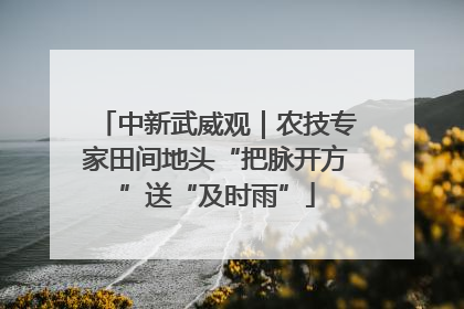 中新武威观｜农技专家田间地头“把脉开方”送“及时雨”