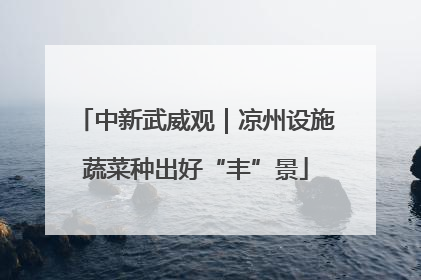 中新武威观｜凉州设施蔬菜种出好“丰”景