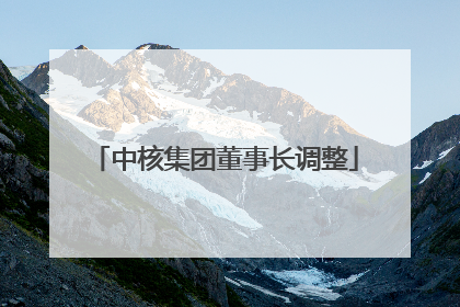 中核集团董事长调整