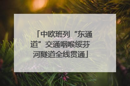 中欧班列“东通道”交通咽喉绥芬河隧道全线贯通