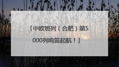 中欧班列（合肥）第5000列鸣笛起航！