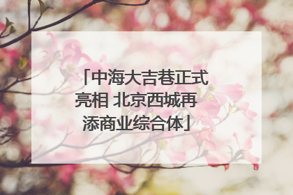 中海大吉巷正式亮相 北京西城再添商业综合体