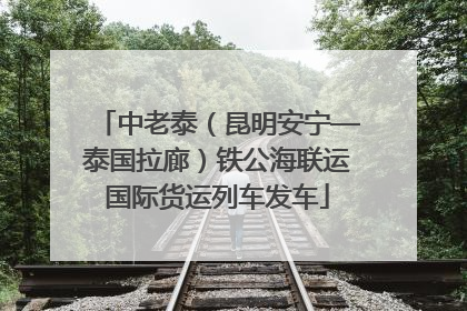 中老泰（昆明安宁—泰国拉廊）铁公海联运国际货运列车发车