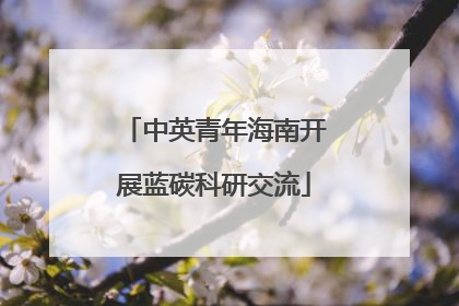 中英青年海南开展蓝碳科研交流