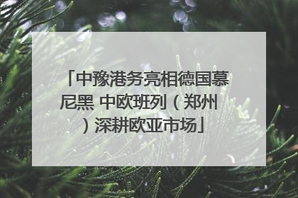 中豫港务亮相德国慕尼黑 中欧班列（郑州）深耕欧亚市场