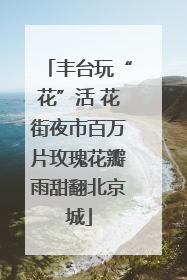 丰台玩“花”活 花街夜市百万片玫瑰花瓣雨甜翻北京城