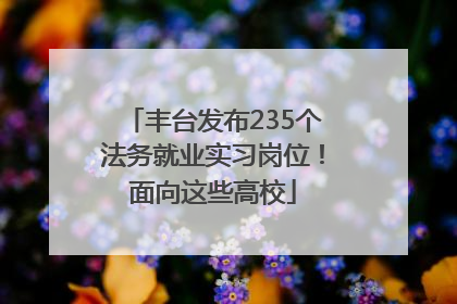丰台发布235个法务就业实习岗位！面向这些高校