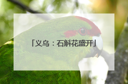 义乌：石斛花盛开