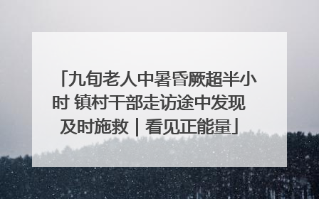 九旬老人中暑昏厥超半小时 镇村干部走访途中发现及时施救｜看见正能量