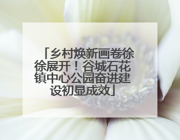 乡村焕新画卷徐徐展开！谷城石花镇中心公园奋进建设初显成效