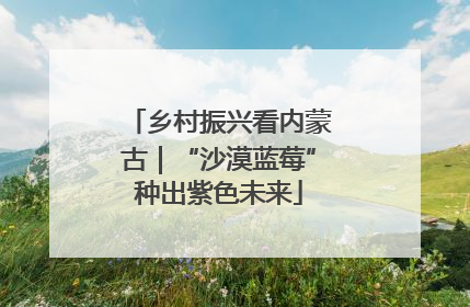 乡村振兴看内蒙古｜“沙漠蓝莓”种出紫色未来