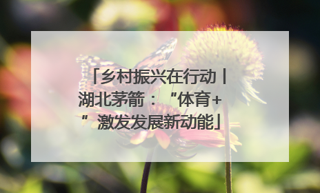 乡村振兴在行动丨湖北茅箭：“体育+”激发发展新动能