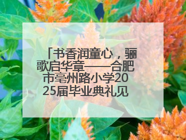 书香润童心，骊歌启华章——合肥市亳州路小学2025届毕业典礼见证成长时刻