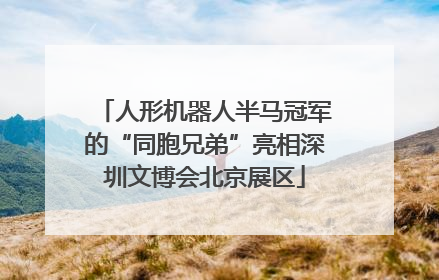 人形机器人半马冠军的“同胞兄弟”亮相深圳文博会北京展区
