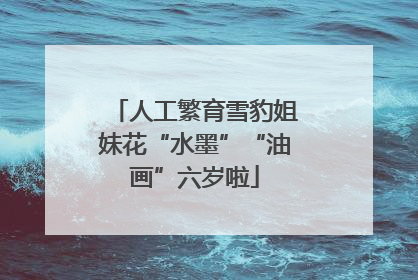 人工繁育雪豹姐妹花“水墨”“油画”六岁啦