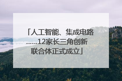 人工智能、集成电路……12家长三角创新联合体正式成立