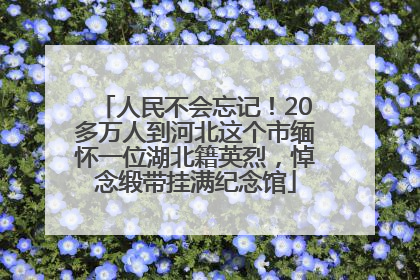 人民不会忘记！20多万人到河北这个市缅怀一位湖北籍英烈，悼念缎带挂满纪念馆