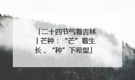 二十四节气看吉林丨芒种：“芒”着生长，“种”下希望