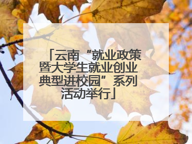 云南“就业政策暨大学生就业创业典型进校园”系列活动举行