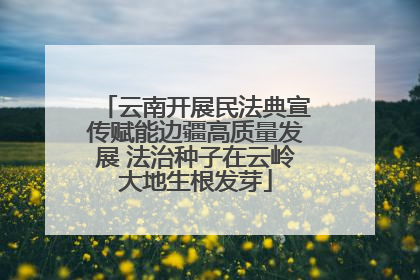 云南开展民法典宣传赋能边疆高质量发展 法治种子在云岭大地生根发芽