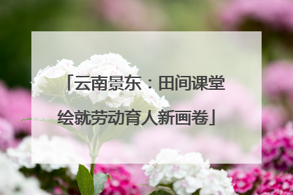云南景东：田间课堂绘就劳动育人新画卷