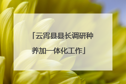 云霄县县长调研种养加一体化工作