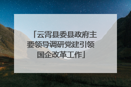 云霄县委县政府主要领导调研党建引领国企改革工作