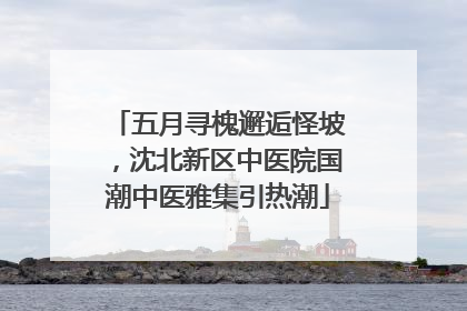 五月寻槐邂逅怪坡，沈北新区中医院国潮中医雅集引热潮