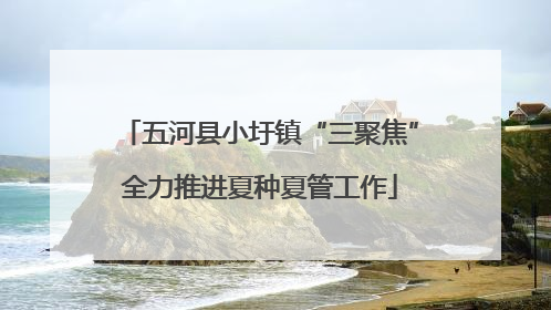 五河县小圩镇“三聚焦”全力推进夏种夏管工作