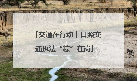 交通在行动丨日照交通执法“粽”在岗