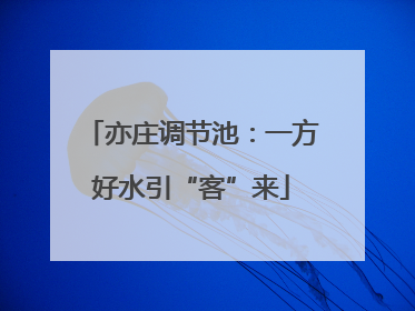 亦庄调节池：一方好水引“客”来
