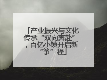 产业振兴与文化传承“双向奔赴”，百亿小镇开启新“筝”程