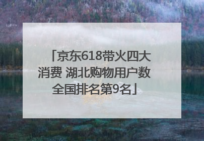 京东618带火四大消费 湖北购物用户数全国排名第9名