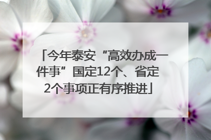 今年泰安“高效办成一件事”国定12个、省定2个事项正有序推进