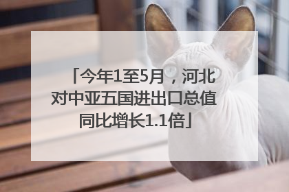 今年1至5月，河北对中亚五国进出口总值同比增长1.1倍