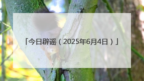 今日辟谣（2025年6月4日）