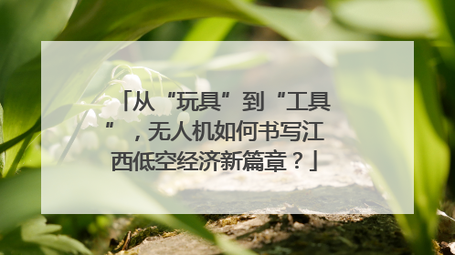 从“玩具”到“工具”，无人机如何书写江西低空经济新篇章？