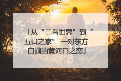 从“二鸟世界”到“五口之家” 一对东方白鹳的黄河口之恋