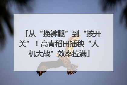 从“挽裤腿”到“按开关”！高青稻田插秧“人机大战”效率拉满