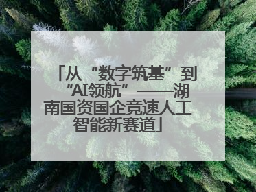 从“数字筑基”到“AI领航”——湖南国资国企竞速人工智能新赛道