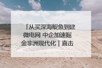 从买深海鳀鱼到建微电网 中企加速掘金非洲现代化｜直击中非经贸博览会