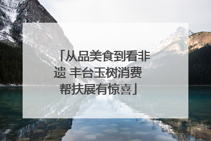 从品美食到看非遗 丰台玉树消费帮扶展有惊喜