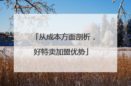 从成本方面剖析，好特卖加盟优势