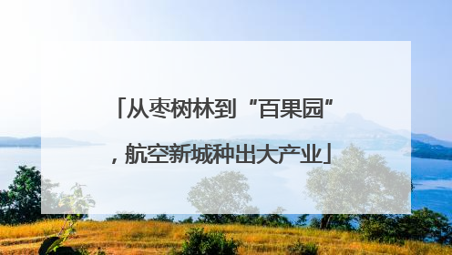 从枣树林到“百果园”，航空新城种出大产业