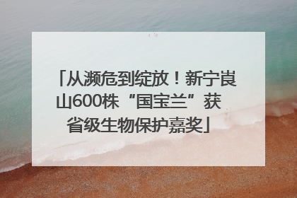 从濒危到绽放！新宁崀山600株“国宝兰”获省级生物保护嘉奖